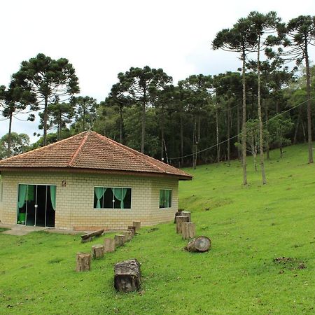 Sítio Arapongas Vila Campo Alegre  Exterior foto