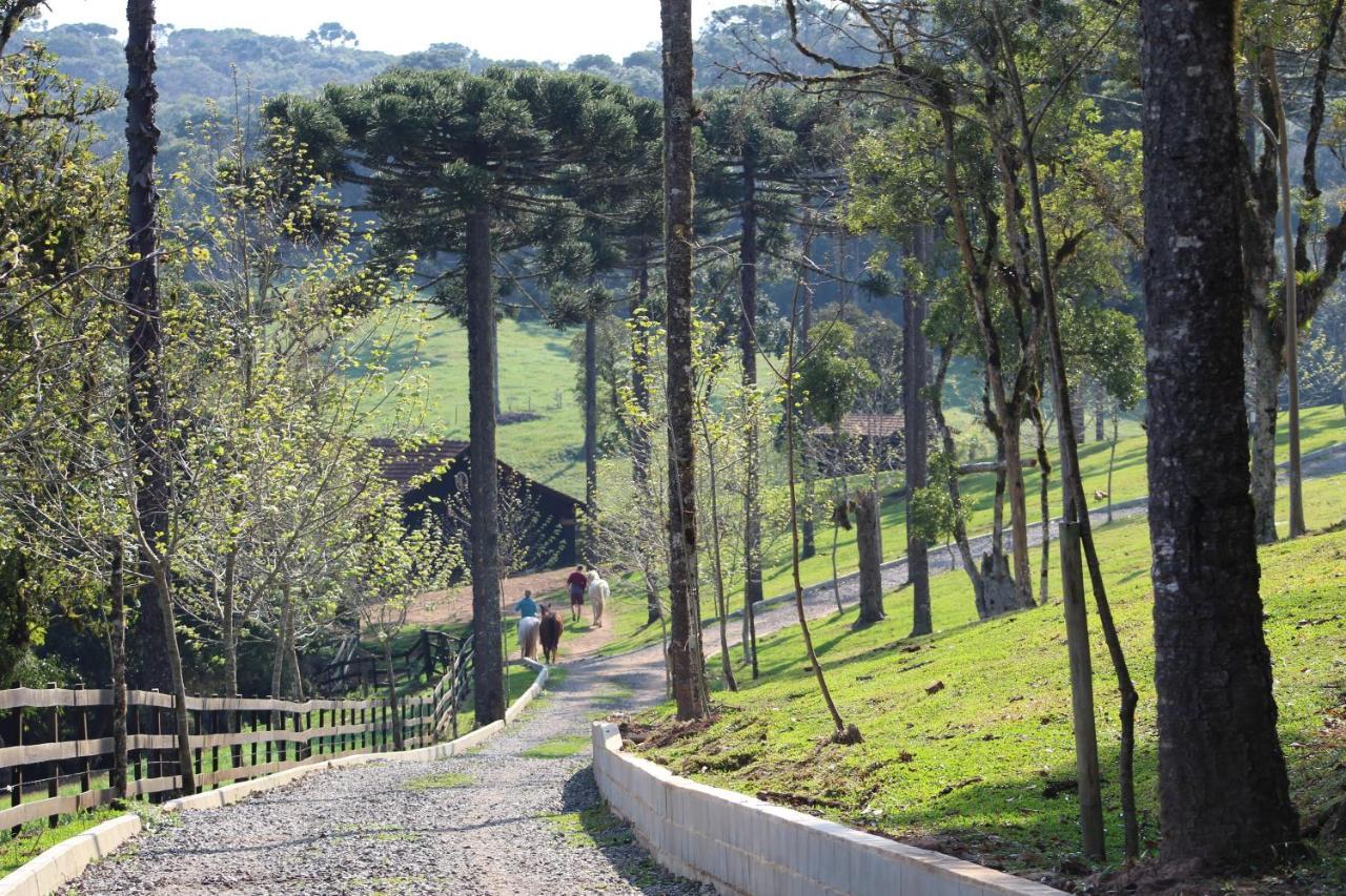 Sítio Arapongas Vila Campo Alegre  Exterior foto